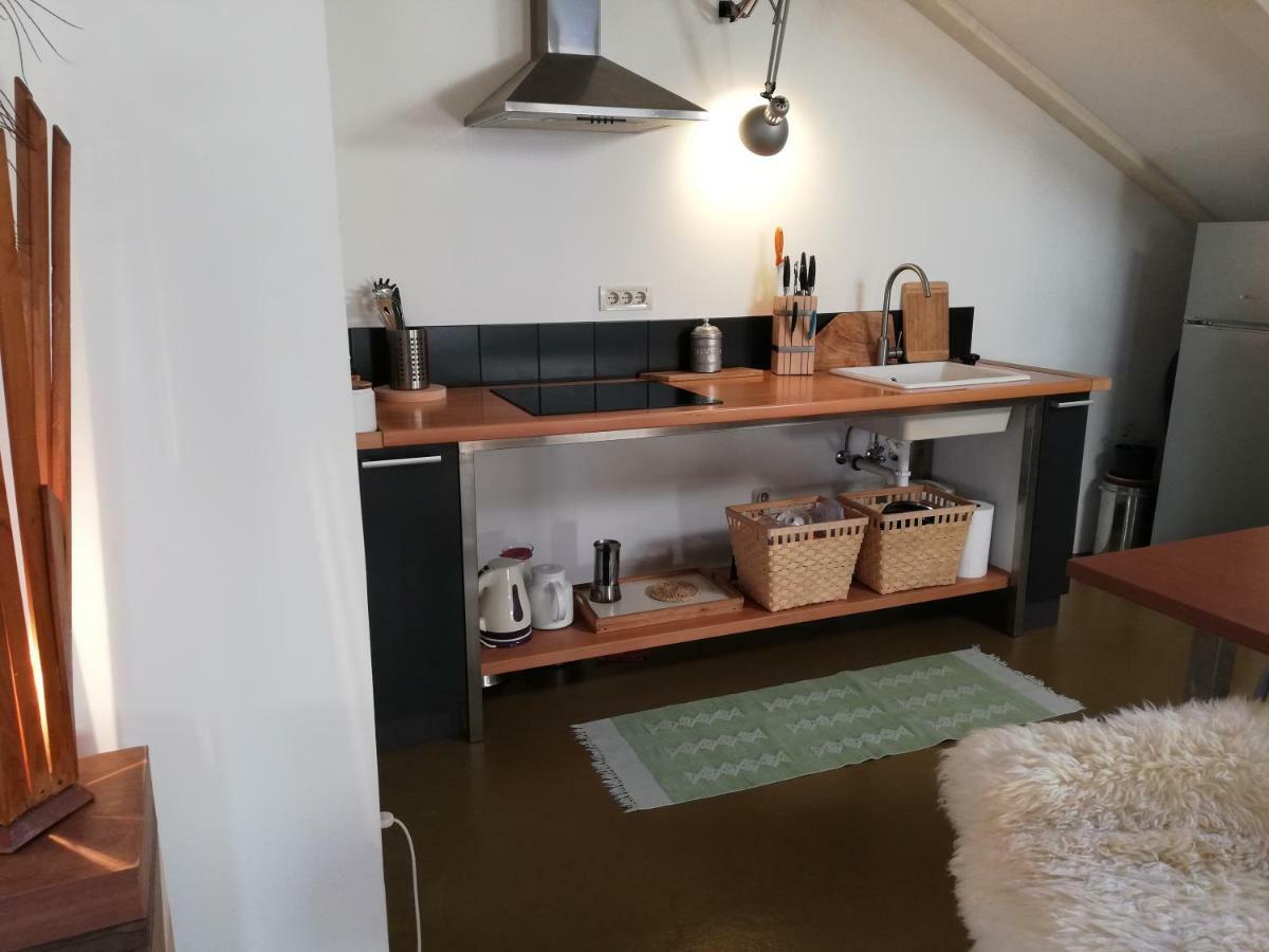Naiadi Loft Apartment ネレジネ エクステリア 写真